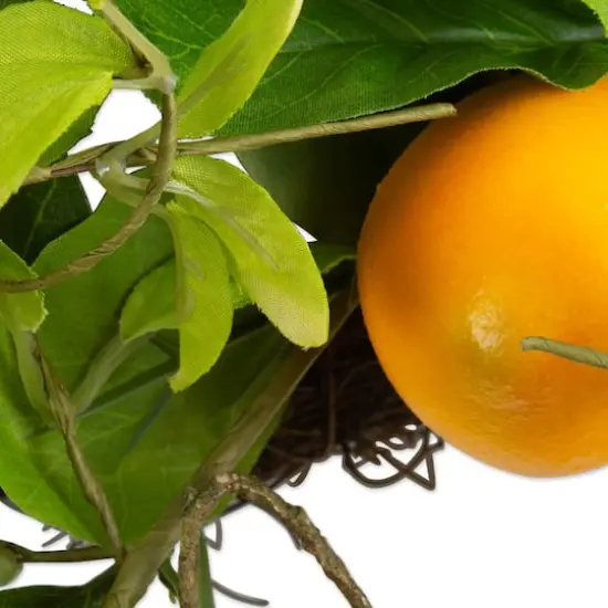 DII&reg; 20" Lemon Wreath {3}