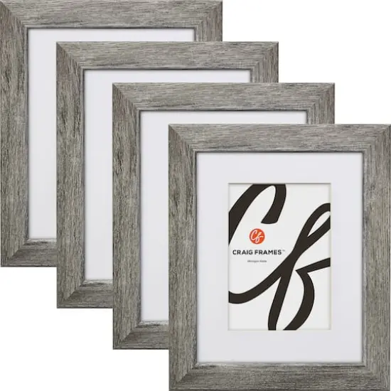 Craig Frames 4 Pack: Bauhaus 125 Barnwood Gray Picture Frame with Mat {1}