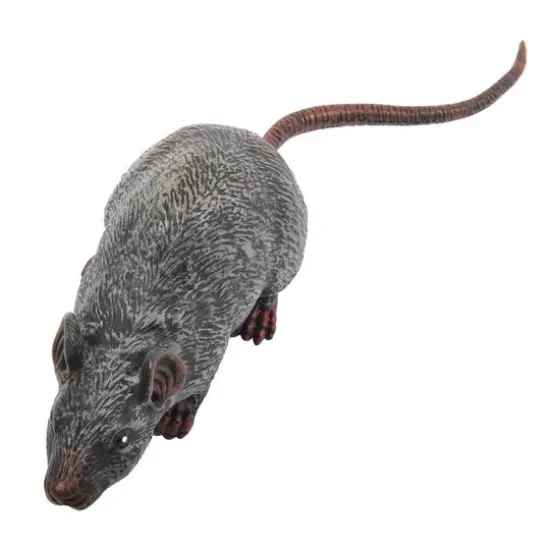 12.25" Sewer Rat by Ashland&reg; {3}