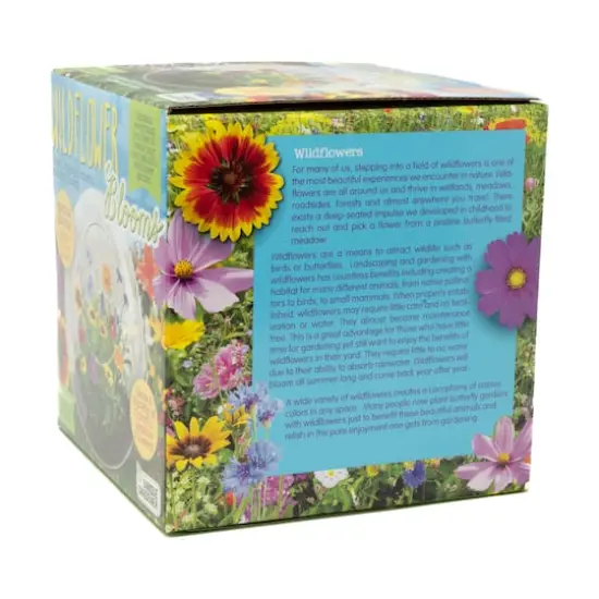 Glass Terrarium - Wildflower Blooms {5}