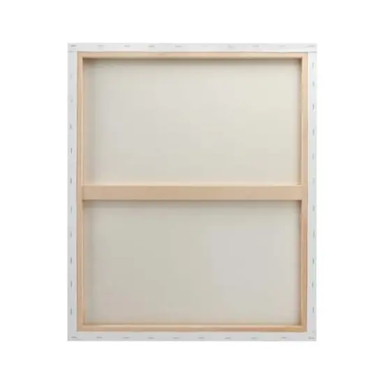 3 Pack 20" x 24" Super Value Canvas by Artist's Loft&reg; {5}