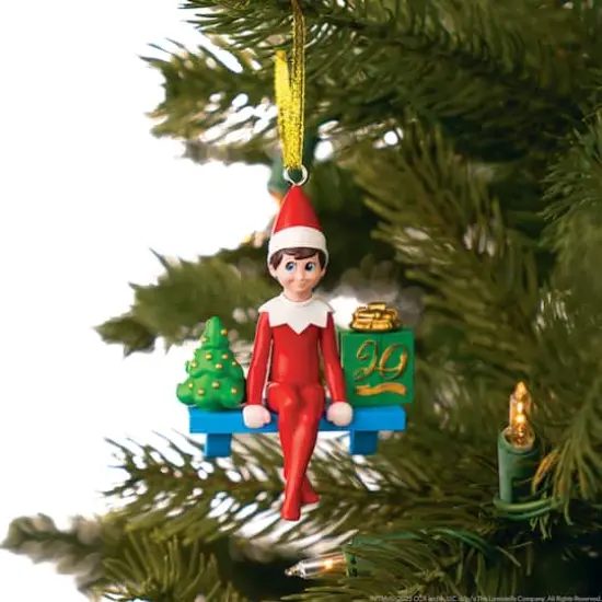 The Elf on the Shelf&reg; A Christmas Tradition Limited 20th Anniversary Edition {8}