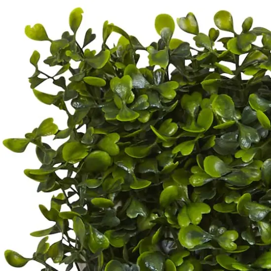 Green Boxwood Mat Set, 12ct.  {4}