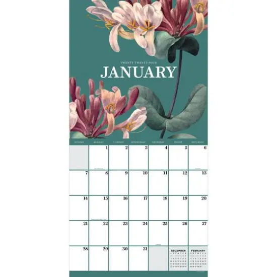 TF Publishing 2024 Vintage Botanicals Wall Calendar {4}