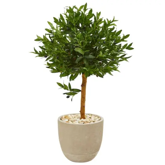 3.5ft. Olive Topiary Tree in Sand Stone Planter {1}