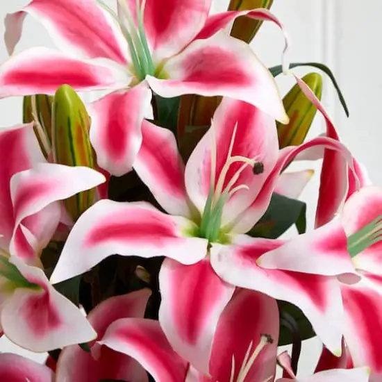 18" Pink Rubrum Lily Arrangement with Decorative Vase {4}