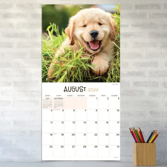 TF Publishing 2024 Puppies Wall Calendar {5}