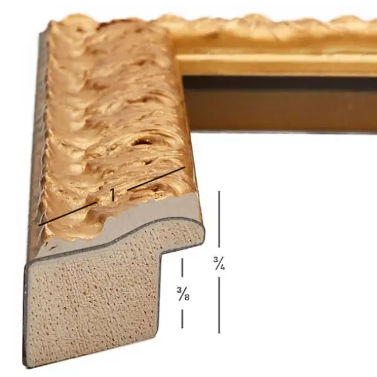 Craig Frames Versailles Gold Picture Frame {3}