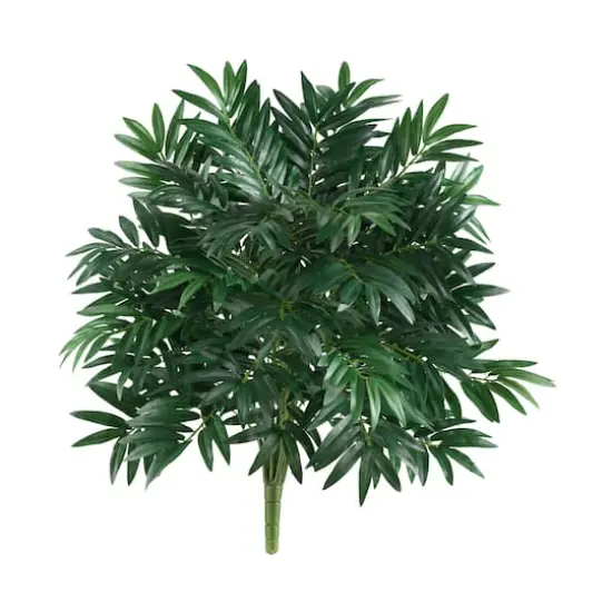 2.5ft. Bamboo Palm Plant, 2ct. {1}