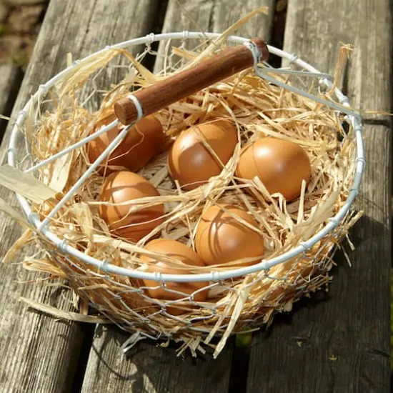 Yellow Door Play Eggs, 6ct. {3}