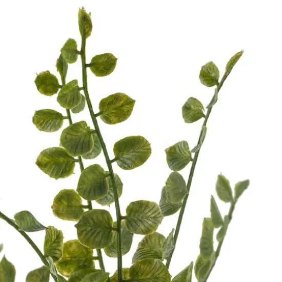 Assorted 11" Fern Pick by Ashland&reg;, 1pc. {6}