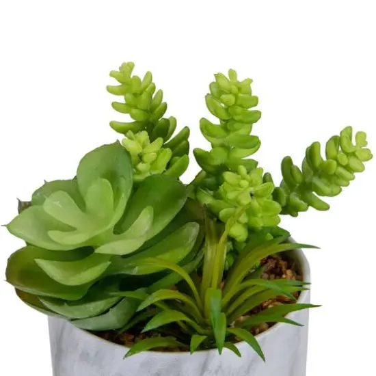 6.5" Green Succulent Arrangement in Faux Marble Pot {6}