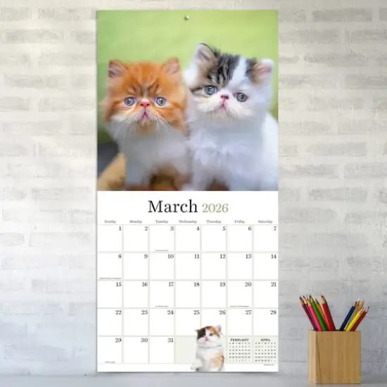2026 Kittens Wall Calendar {4}