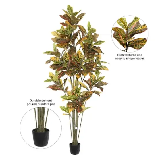 7ft. Potted Green & Orange Croton Tree {8}