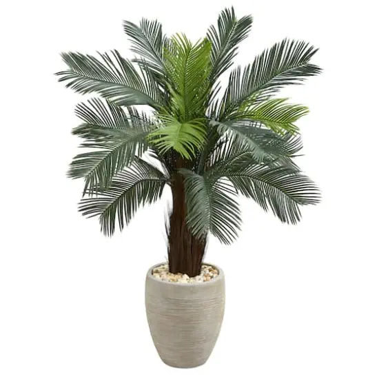 4.5ft. Cycas Tree in Oval Planter {1}