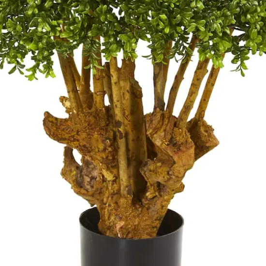 3ft. Potted Boxwood Topiary Tree  {4}