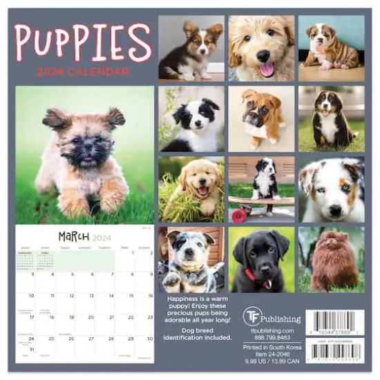 TF Publishing 2024 Puppies Mini Calendar {3}