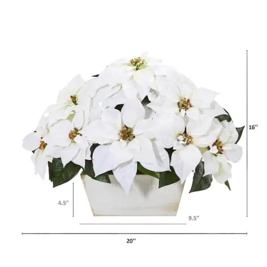 16'' White Poinsettia in White Wash Planter {3}