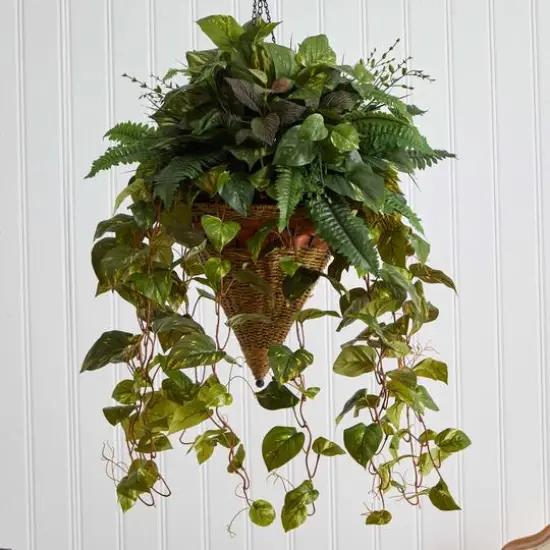 3ft. Mixed Green Vines in Cone Hanging Basket {6}
