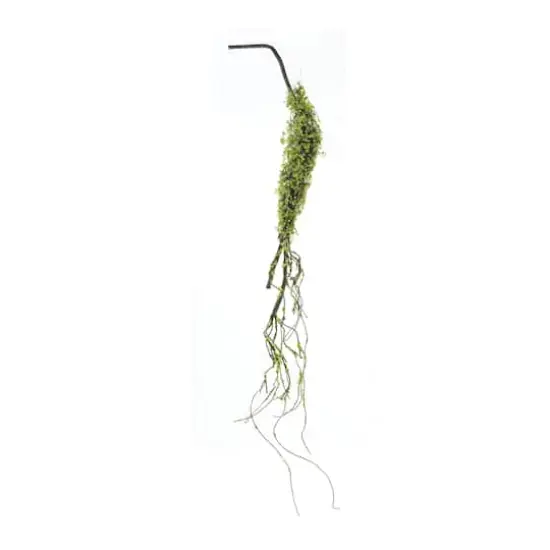 40" Moss Foliage Vine Branches, 2ct. {1}