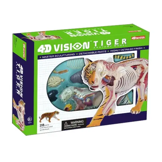 4D Vision&trade; Tiger Anatomy Model {1}