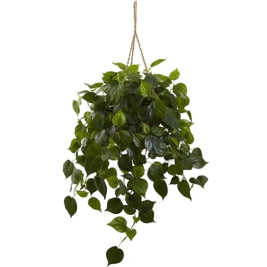 3ft. Philo Plant Hanging Basket {1}