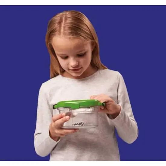 Brainstorm Toys Outdoor Adventure Bug Viewer {7}