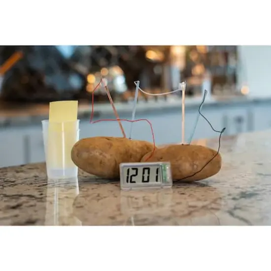 Toysmith&reg; Potato Clock Kit {9}