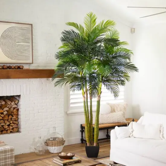 9.5ft. Potted Giant 5 Stalk Areca Palm Tree {11}