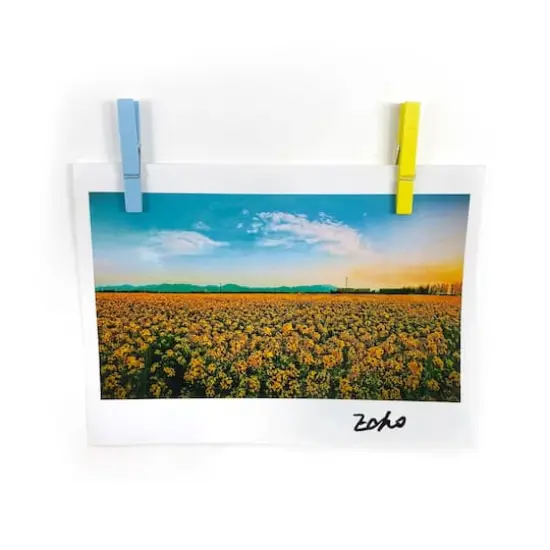 Medium Pastel Clothespins by Recollections&trade; {4}