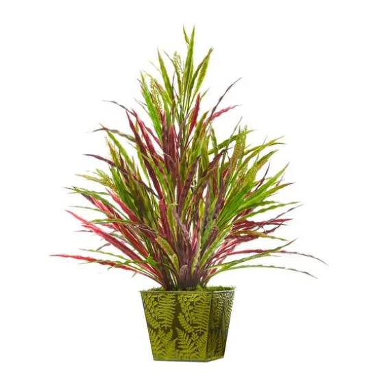 24" Fall Vanilla Grass Plant in Green Planter {1}