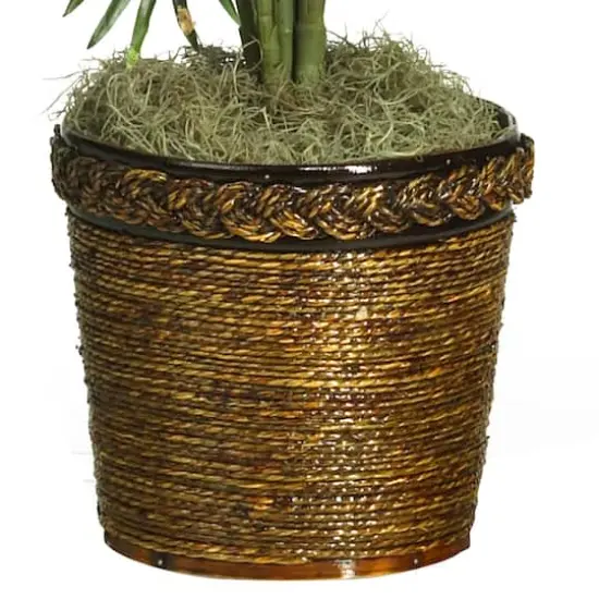 4.6ft. Areca Palm Tree with Basket {4}