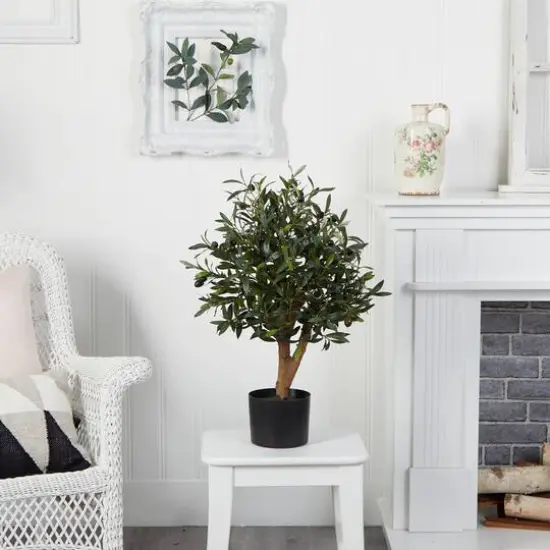 2.5ft Olive Tree in Black Planter {3}