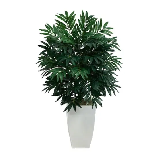 3ft. Bamboo Palm Plant in Decorative White Metal Planter {1}