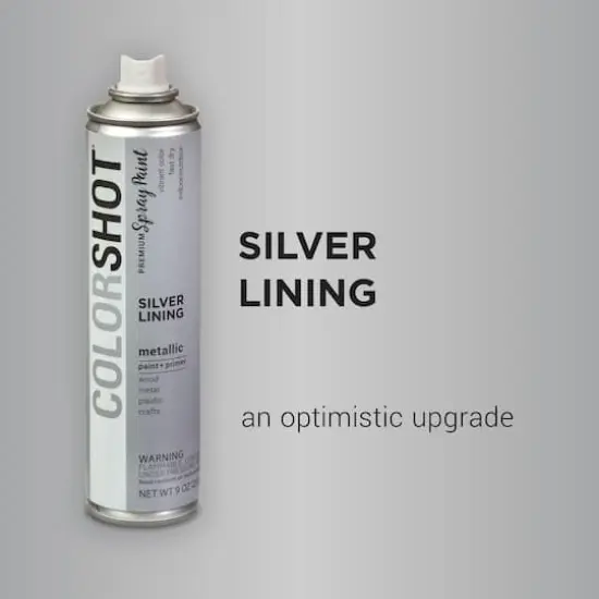 COLORSHOT&reg; Premium Metallic Spray Paint Silver Lining {3}