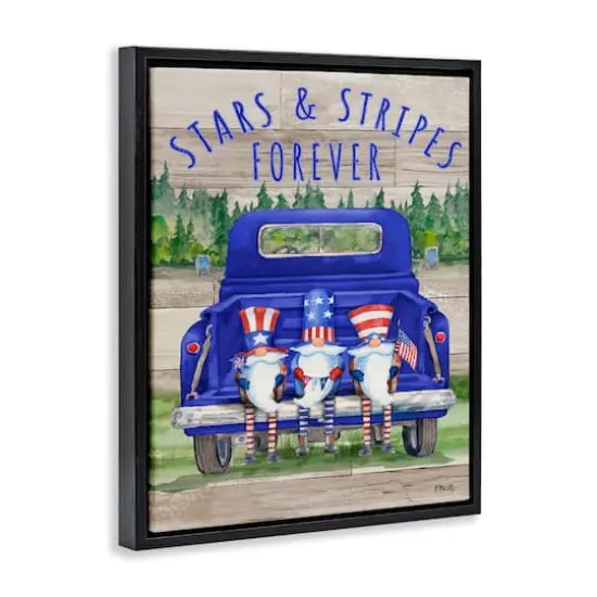 Stupell Industries Stars & Stripes Forever Americana Gnomes Floater Framed Art Black {4}