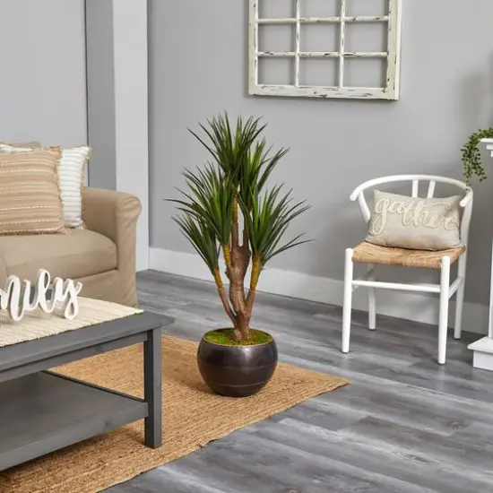 4ft. Yucca Tree in Decorative Planter {4}