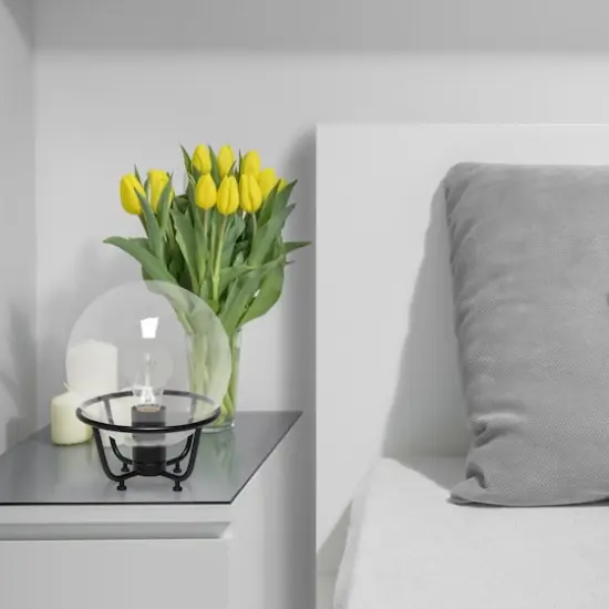 Lalia Home 10" Old World Globe Glass Table Lamp Matte Black {6}