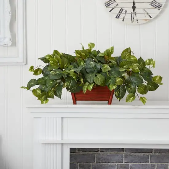 16" Pothos In Rectangle Decorative Planter {5}