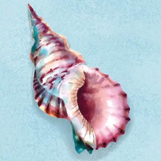 4" x 4" Seashell Canvas Painting Kit by Craft Smart&reg; {5}