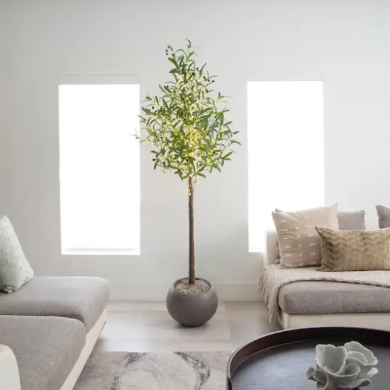 6ft. Potted Pre-Lit Artificial Olive Tree with Warm White LED Lights {3}