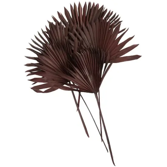 Dark Brown Sun Palm Spear Leaf Foliage Bundle {4}