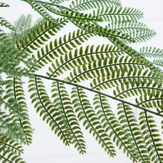 6ft. Artificial Minimalist Jacaranda Tree in White Decorative Planter {4}