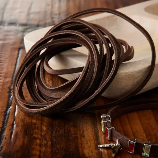 Latigo Lace by ArtMinds&trade;, 4yd. Dark Brown {3}