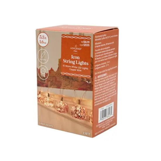 10ct. Warm White LED Pumpkin Icon String Lights by Ashland&reg; {5}