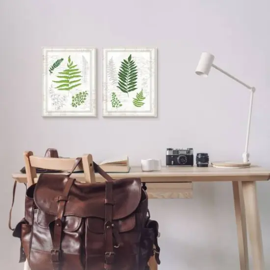Stupell Industries Antique Fern Study with Script Forest Greenery Framed Wall Art Set {3}