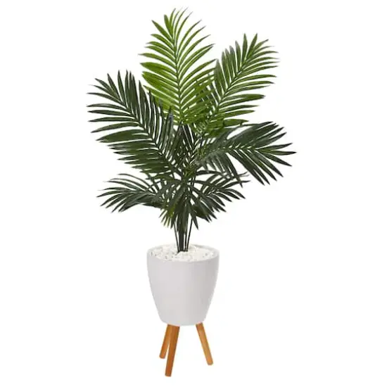 5ft. Paradise Palm Tree in White Planter with Wooden Legs {1}