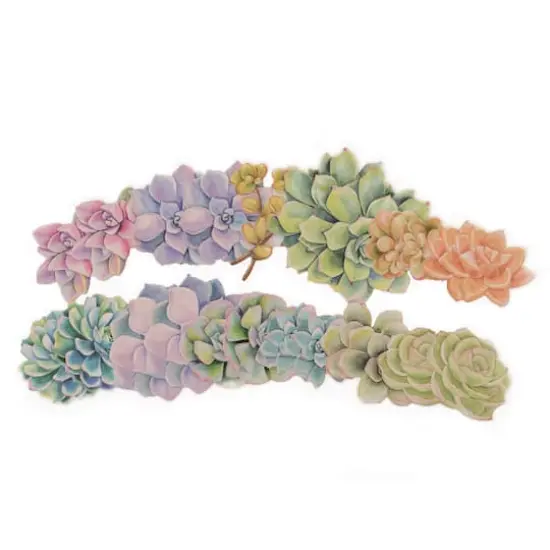 Succulent Die Cut Stickers by Recollections&trade; {1}