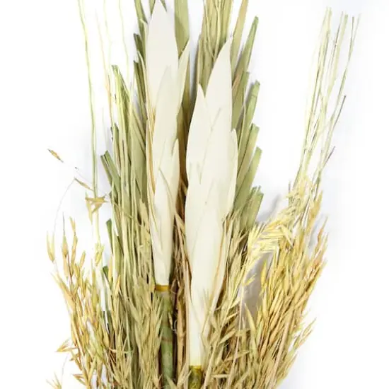 Brown & Green Pigeon Pea Foliage Bundle Set {6}