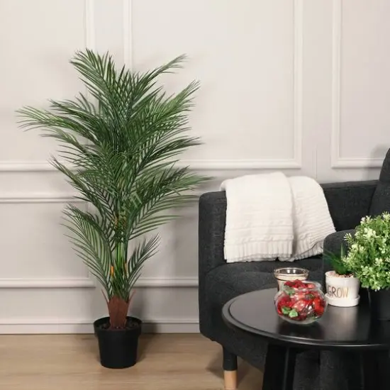 3.9ft. Potted Areca Palm Tree {4}
